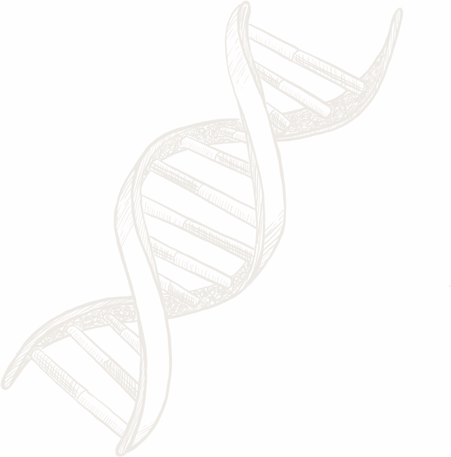 Minimal line-art illustration of a DNA double helix structure, with twisted strands and ladder-like connections.