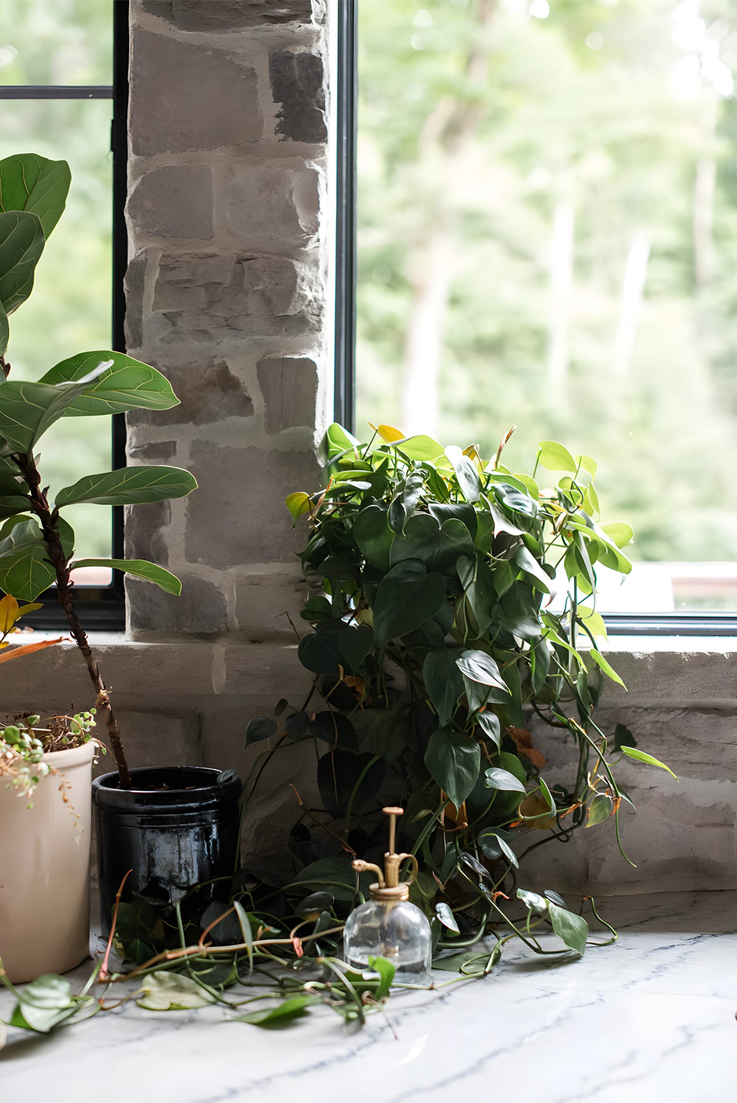 Sunlit window ledge with leafy potted plants against gray stone wall, adding greenery to interior design.