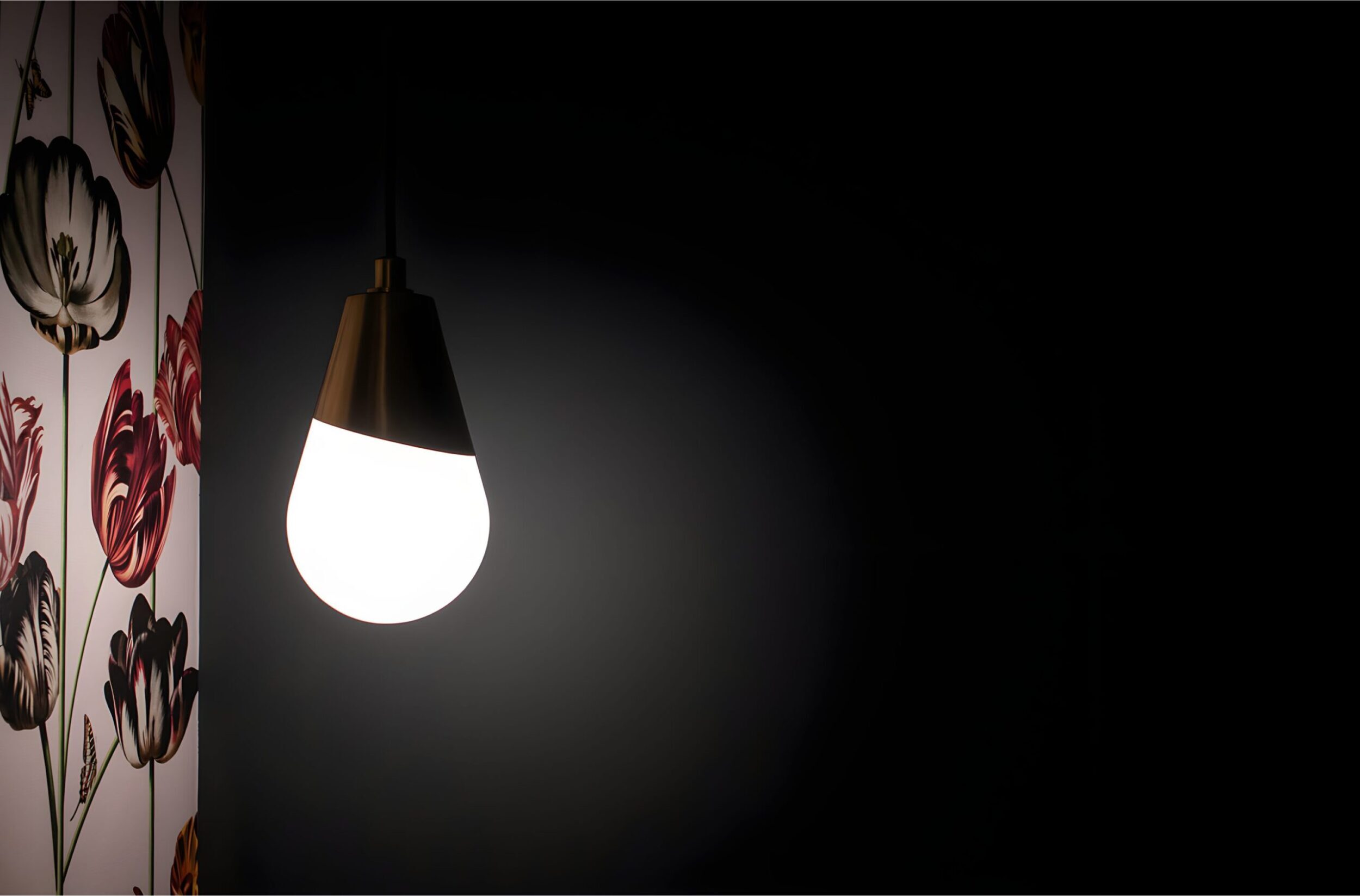 Minimalist pendant light glowing against dark wall with floral wallpaper detail on the side.